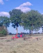 Hooi, Dieren en Toebehoren, Ophalen, Vee