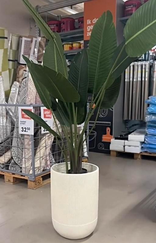 Strelitzia Kunstplant in Dijon Off-White Bloempot, Huis en Inrichting, Kamerplanten, Overige soorten, Minder dan 100 cm, Groene kamerplant
