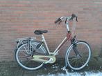 Gazelle Aristo carbon voor en achter vork, Fietsen en Brommers, Versnellingen, Ophalen of Verzenden, Gazelle, 53 tot 56 cm