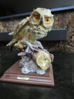 Uil kunstwerk, A. Balcori, Owl wildlife bird sculpture, Verzamelen, Beelden en Beeldjes, Ophalen of Verzenden, Zo goed als nieuw