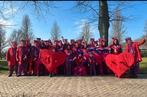 Mooie grote kleurrijke loopgroep carnaval!, Ophalen, Zo goed als nieuw, Carnaval
