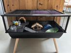 Luxe knaagdierkooi  78x48x38, Dieren en Toebehoren, Knaagdieren en Konijnen | Hokken en Kooien, Ophalen, Zo goed als nieuw, Kooi