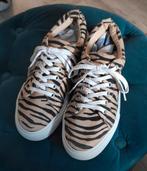 H&m Divided sneakers Zebra maat 38, Kleding | Dames, Schoenen, Ophalen of Verzenden, Zo goed als nieuw