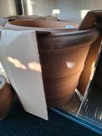 Donatello terracotta buitenpotterie 3 maten, Ophalen, Nieuw, 25 tot 50 cm, Minder dan 100 cm