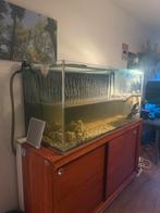 Water schildpadden, Ophalen of Verzenden, Leeg aquarium