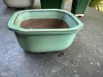 Achthoekige zacht groen geglazuurde bonsaipot, Tuin en Terras, Bloempotten, Nieuw, Aardewerk, Rechthoekig, Tuin