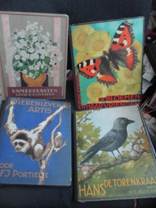 Plaatjesalbums 4x kamerplanten, artis, bloemen hans de toren, Boeken, Prentenboeken en Plaatjesalbums, Gelezen, Plaatjesalbum