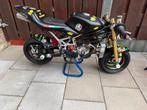Minibike GRC RR Midi ZPF/Polini 40 cc 5 poorts watergekoeld, Ophalen of Verzenden, Gebruikt, Overige typen