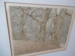 Kleurenets Reinder Homan, Antiek en Kunst, Kunst | Etsen en Gravures, Ophalen of Verzenden