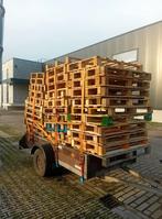 Gezocht gratis euro pallets en wegwerp pallets, Ophalen, Overige houtsoorten, Minder dan 200 cm, Pallet