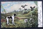 De jachthond ziet de patrijzen opvliegen, 1905, Verzenden, Voor 1920, Gelopen, Hond of Kat