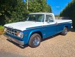 UNIEKE Dodge D100 Sweptline 1968 V8 360 f100 f250 ford w200, Auto's, Automaat, Wit, Blauw, SUV of Terreinwagen
