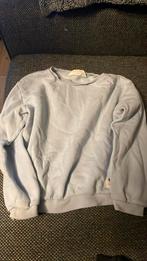 Sweater, Ophalen of Verzenden, Zo goed als nieuw, Trui of Vest