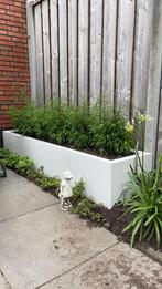 Plantenbakken, Tuin en Terras, Bloembakken en Plantenbakken, Info@plantenbakkenvanstaal.nl, 3319ek, Vierkant, Nieuw
