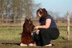 Pony/ kinder lessen met lespaarden, Ophalen, Nieuw