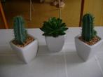 3 kunst cactus in wit stenen potjes van 14cm hoog, Huis en Inrichting, Ophalen of Verzenden, Zo goed als nieuw, Binnen