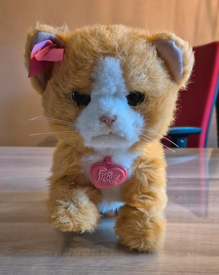 Te koop" Fur Real Friends katje "Daisy", Kinderen en Baby's, Speelgoed | Knuffels en Pluche, Gebruikt, Overige typen, Ophalen of Verzenden