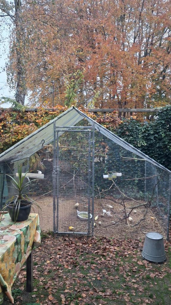 Vogel- kippen auminium volière ., Dieren en Toebehoren, Vogels | Hokken en Kooien, Zo goed als nieuw, Volière, Aluminium, Ophalen