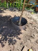 Boomring cortenstaal, Ophalen, Rond, Minder dan 60 cm