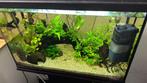 Aquarium 80 lt with decor and accessories, Ophalen of Verzenden, Zo goed als nieuw, Leeg aquarium