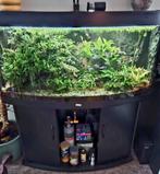 Zoetwateraquarium met vissen., Ophalen, Zo goed als nieuw, Gevuld zoetwateraquarium