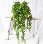Eucalyptus Kunstplant / Hangplant Kunst Plant Hang Namaak, Huis en Inrichting, Woonaccessoires | Kunstplanten en Kunstbloemen