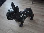 Beeld Franse Bulldog zwart, Ophalen, Zo goed als nieuw