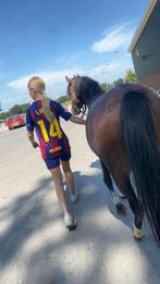 Verzorg/bijrijdpony gezocht!, Ophalen of Verzenden, Zo goed als nieuw