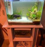 Superfish aquarium home 80 MET kast + exta’s, Dieren en Toebehoren, Ophalen, Gebruikt, Leeg aquarium