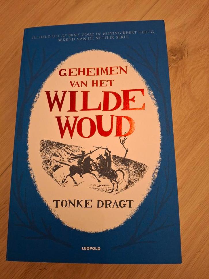 Geheimen van het Wilde Woud - Tonke Dragt, Boeken, Fantasy, Zo goed als nieuw, Ophalen of Verzenden
