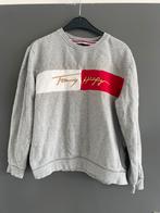 Tommy Hilfiger, Maat 48/50 (M), Tommy Hilfiger, Nieuw, Ophalen of Verzenden