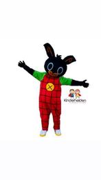 Bing (in)huren, Hobby en Vrije tijd, Feestartikelen | Verhuur, Ophalen, Zo goed als nieuw, Overige