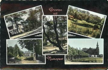 (387-142-025) Nunspeet Groeten uit beschikbaar voor biedingen