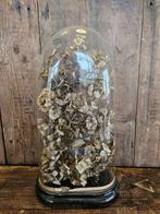 antieke franse stolp ``WOONWINKEL RUSTIEK``, Ophalen of Verzenden