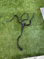 Borsttuig, Ophalen of Verzenden, Zo goed als nieuw