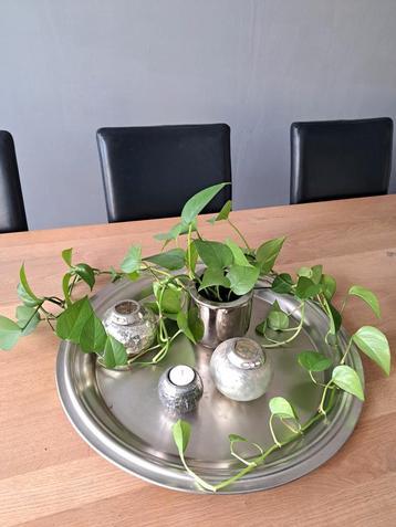 Zilverkleurig Dienblad - Decoratief beschikbaar voor biedingen