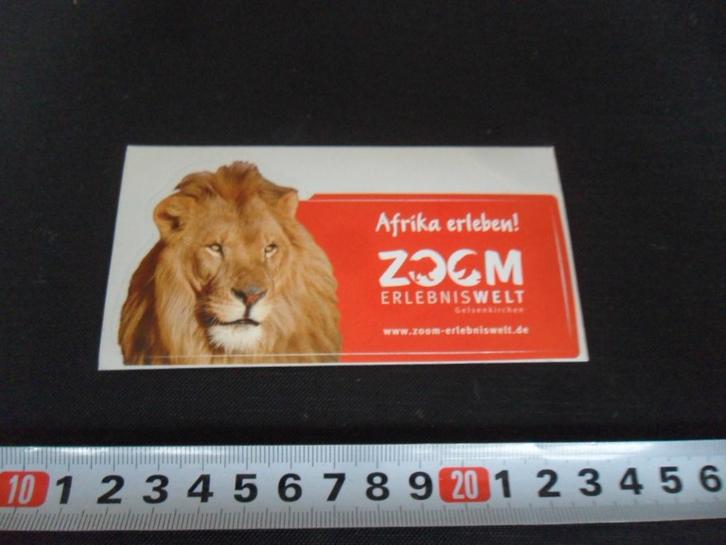 sticker leeuw afrika erleben! zoom gelsenkirchen zoo, Verzamelen, Stickers, Zo goed als nieuw, Ophalen