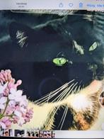 Poes Poëtin Poet Spoorloos geen staart