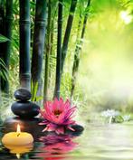 Mona Lisa diamond painting pakketten 40x30cm, Hobby en Vrije tijd, Ophalen of Verzenden, Nieuw, Knutselwerk