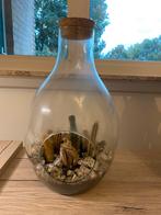 Glazen stolp, Huis en Inrichting, Ophalen, Gebruikt