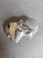 Septarie dubbelhart dubbel hart septaria, Verzamelen, Mineralen en Fossielen, Ophalen of Verzenden, Mineraal