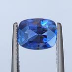 Sapphire, Ophalen of Verzenden, Nieuw