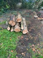Brandhout Stammen te Koop (Den), Tuin en Terras, Minder dan 3 m³, Ophalen, Overige houtsoorten, Stammen