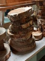 Boomstam schijven, diverse maten, Diversen, Ophalen