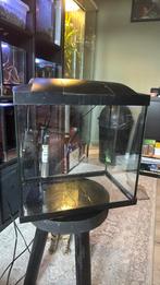 Superfish start 30 aquarium, Dieren en Toebehoren, Vissen | Aquaria en Toebehoren, Ophalen, Gebruikt, Leeg aquarium
