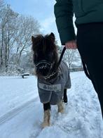 Verzorger gezocht, Dieren en Toebehoren, Ophalen of Verzenden, Zo goed als nieuw