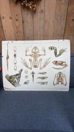 Schoolplaat, Ophalen