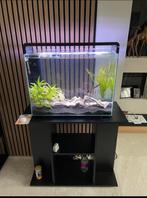 Superfish home 85 aquarium, Dieren en Toebehoren, Ophalen, Zo goed als nieuw, Leeg aquarium