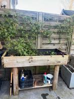 Steigerhouten Moestuinbak, Gebruikt, 100 cm of meer, Balkon, Ophalen of Verzenden