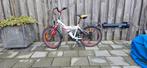 20 inch Kinderfiets - Leuke fiets voor jonge avonturiers!, Ophalen